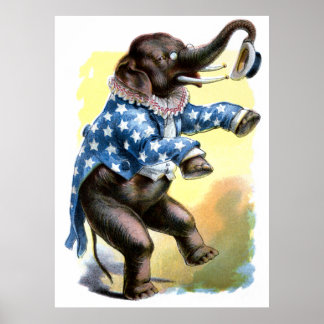 Póster Criaturas curiosas - Elefante