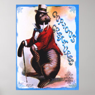 Póster Criaturas curiosas - Sello