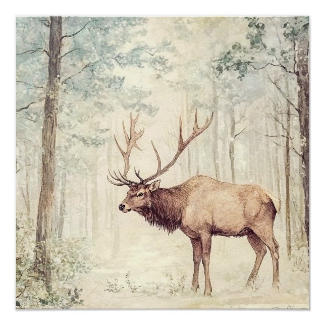 Póster Criaturas del bosque (Anverso)