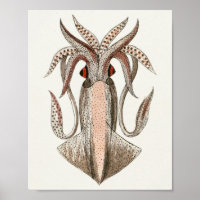 Criaturas del mar de Cefalopodo de la época del ca