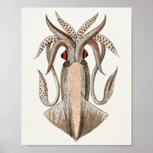 Póster Criaturas del mar de Cefalopodo de la época del ca