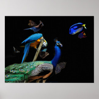 Póster Criaturas deslumbrantes