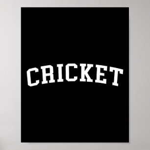 Póster Cricket 1 