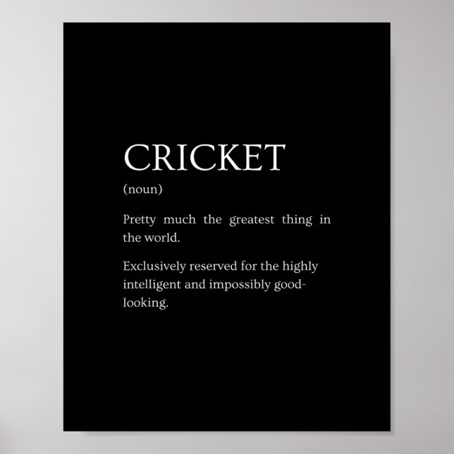 Póster Cricket Definition - Funny Sarcastic Cricket Expla (Frente)