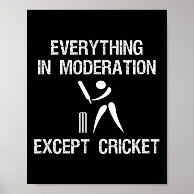 Póster Cricket Game - Funny Moderation - Player  (Frente)