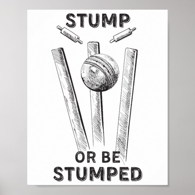 Póster Cricket T20 Jersey Stump Or Be Stumped  (Frente)