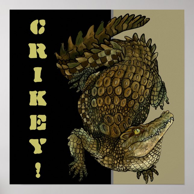 Póster ¡Crikey cocodrilo! (Frente)