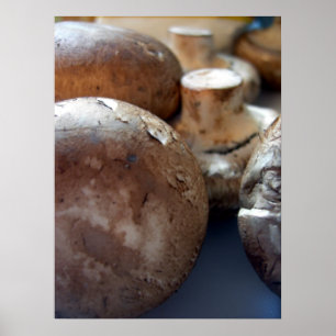Póster Crimini mushrooms
