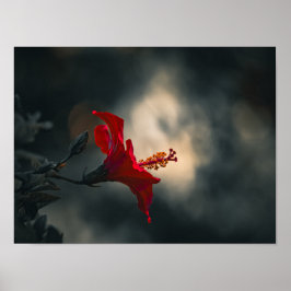 Póster 🌹 Crimson Glow in the Dusk ✨