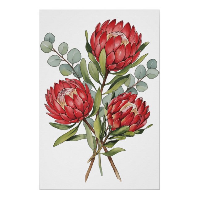 Póster Crimson Protea Bouquet Watercolor (Anverso)