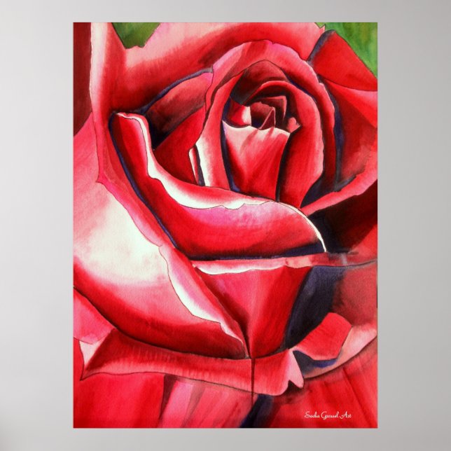 Póster Crimson Red Rose original pintura acuarela (Frente)