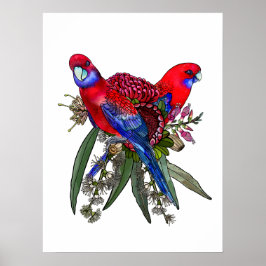 Póster Crimson Rosella australiana y Bouquet de flores si