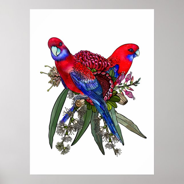 Póster Crimson Rosella australiana y Bouquet de flores si (Frente)