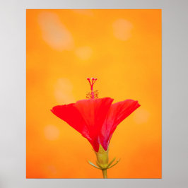 Póster Crimson Serenity