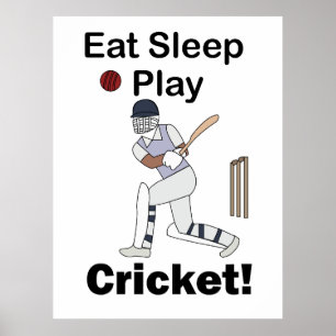 Póster Críquet Deportes Comer Dormir Jugar Críquet
