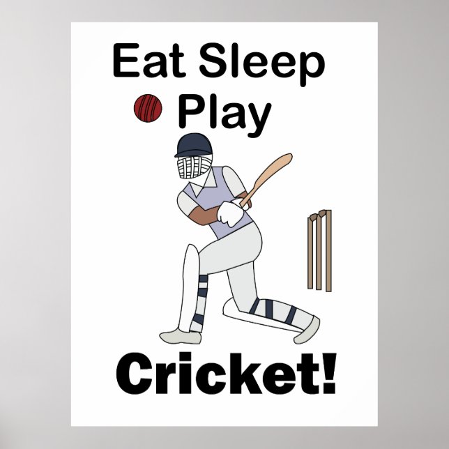 Póster Críquet Deportes Comer Dormir Jugar Críquet (Frente)
