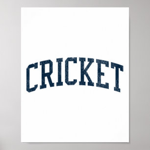 Póster Críquet Nc Vintage Deportivo Deportes Jsn2 Impresi