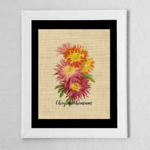 Póster Crisantemo ventilado Botánico