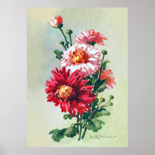 Póster Crisantemos rosados por Catherine Klein Poster
