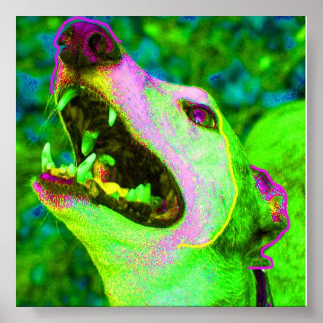 Póster Crisco (Frente)