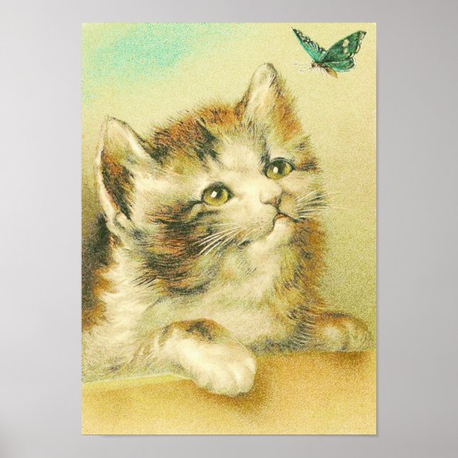 Póster Cristal De Gatito Y Mariposa (Frente)