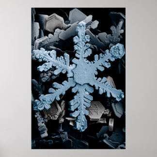Póster Cristal de nieve 2