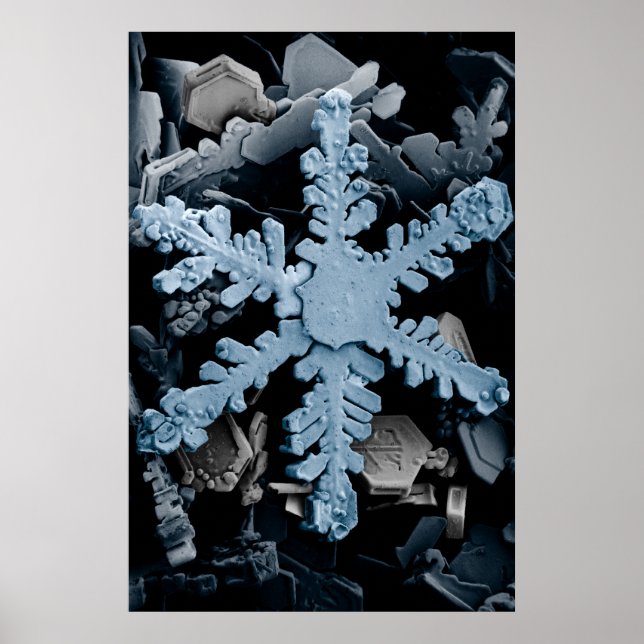 Póster Cristal de nieve 2 (Frente)