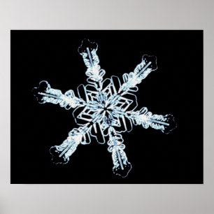 Póster Cristal estelar de la nieve