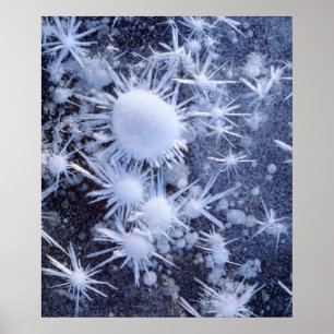 Póster Cristales de hielo en la Sierra