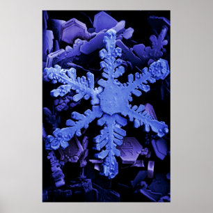 Póster Cristales de la nieve
