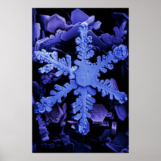 Póster Cristales de nieve (Frente)