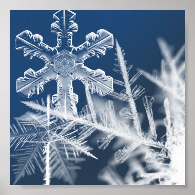 Póster cristales de nieve (Frente)