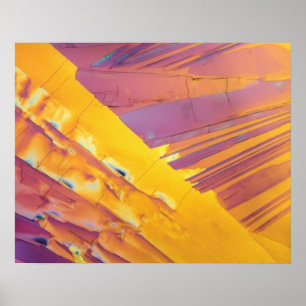 Póster Cristales del ácido oxálico