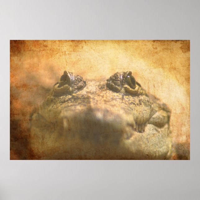 Póster Crocodylus Moreletii Close (Frente)