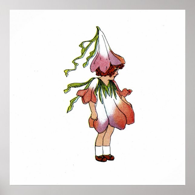 Póster Crocus (Frente)