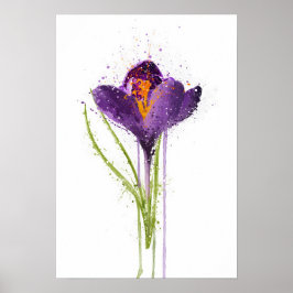 Póster Crocus