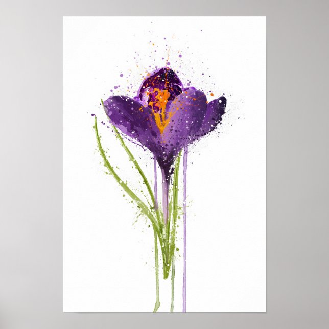 Póster Crocus (Frente)