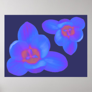 Póster Crocus Flowers Hot and Cold Print