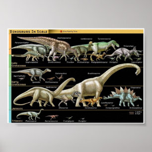 Póster Cronología de Dinosaurios Biología