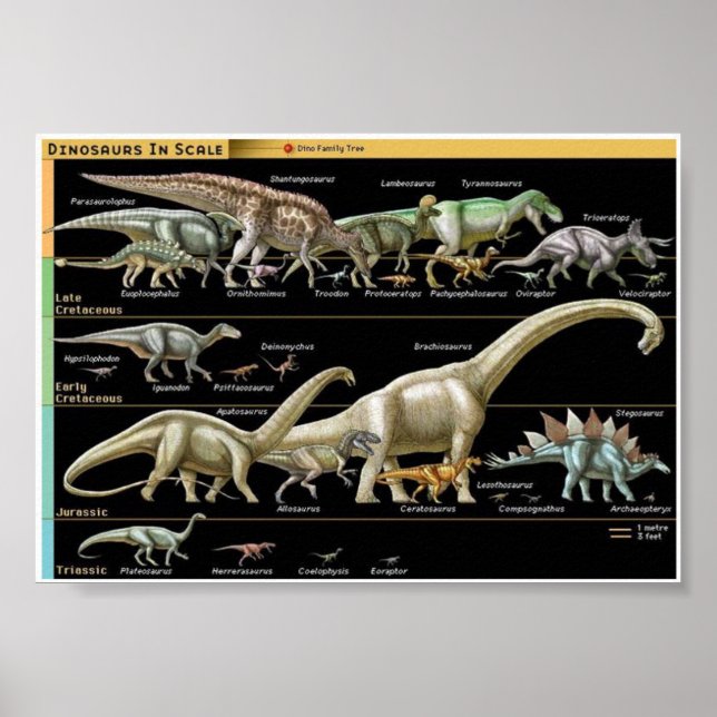 Póster Cronología de Dinosaurios Biología (Frente)