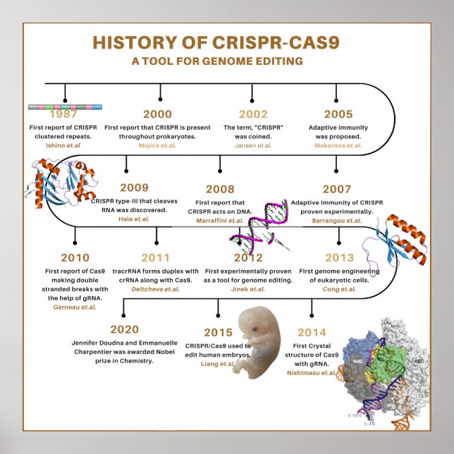 Póster Cronología de la historia de CRISPR (Frente)