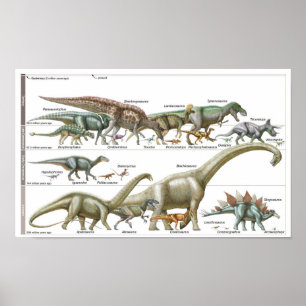 Póster Cronología de los dinosaurios Biología del Jurásic