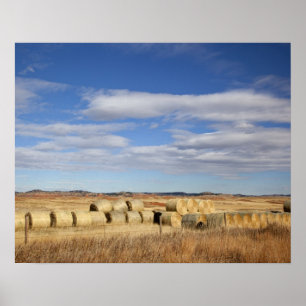 Póster Crook County, Hay Bales
