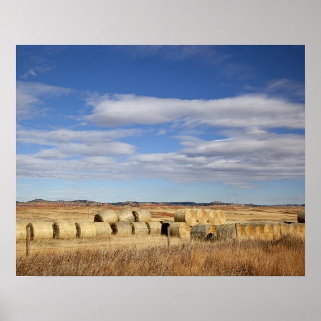 Póster Crook County, Hay Bales (Frente)