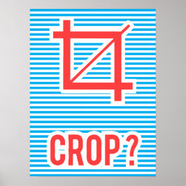 Póster Crop Top?