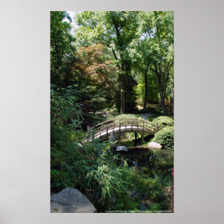 Póster Crossing Garden