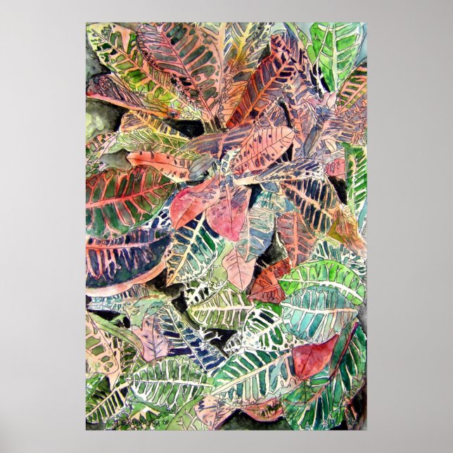 Póster croton_plant_painting (Frente)
