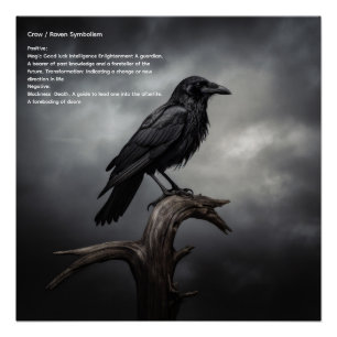 Póster Crow