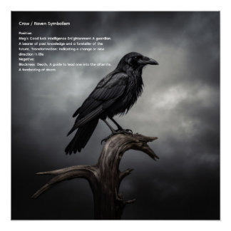 Póster Crow