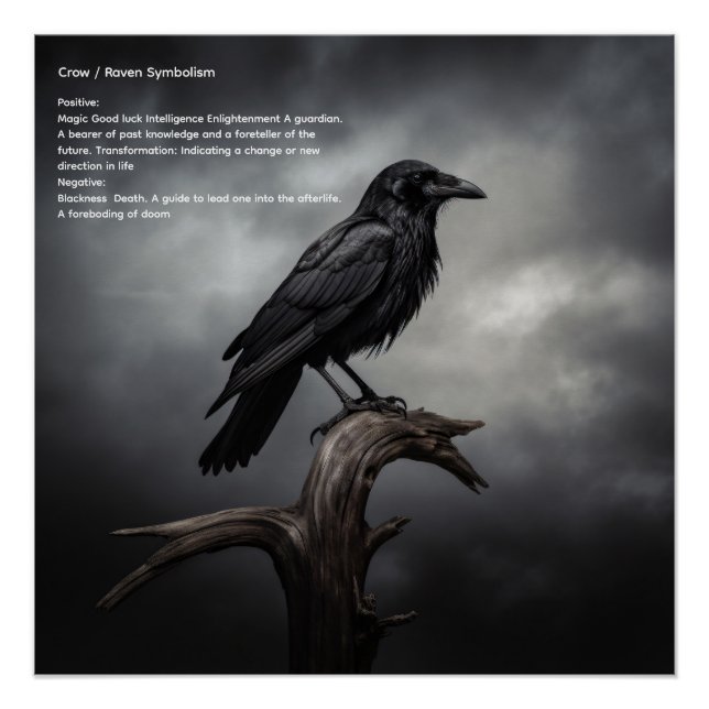Póster Crow (Anverso)